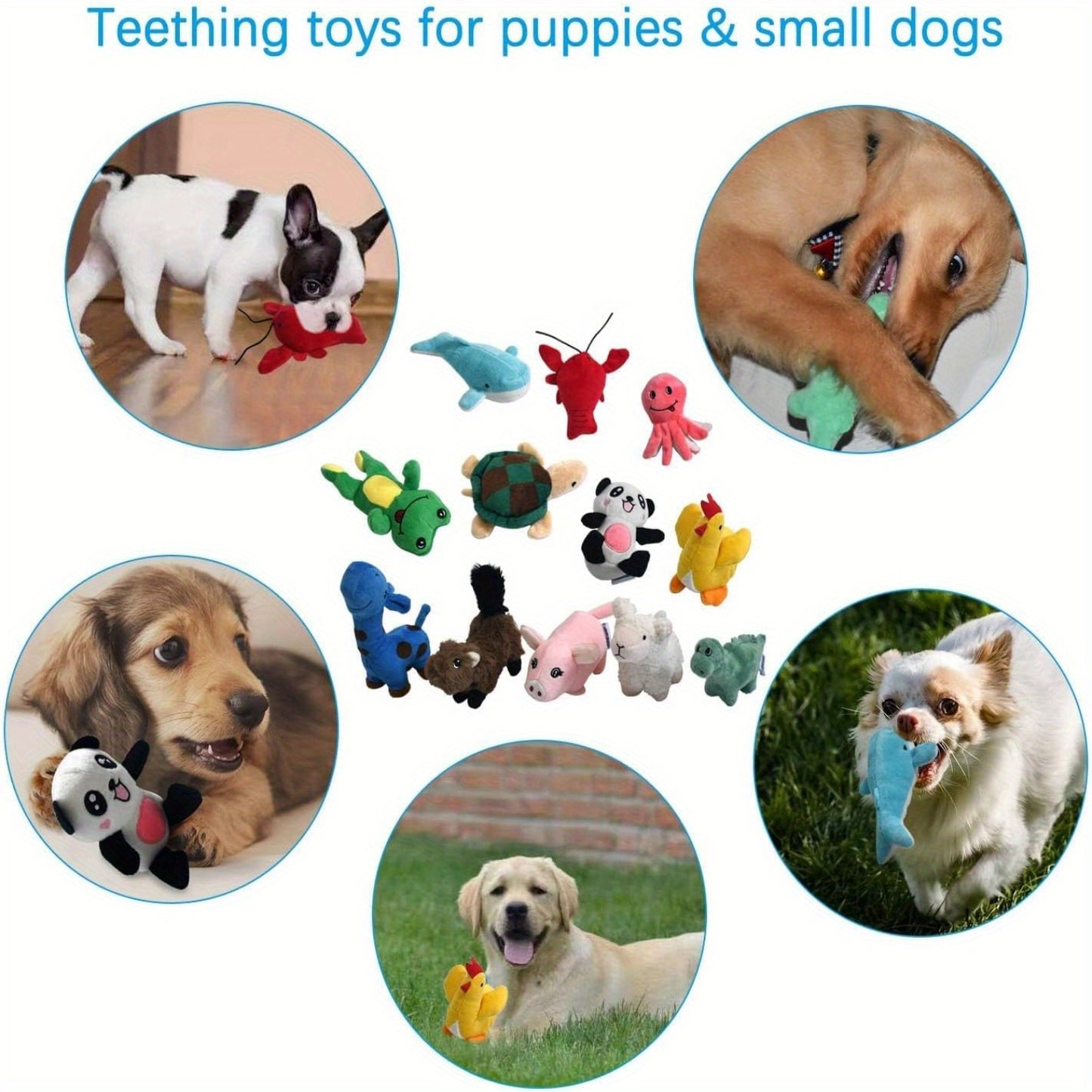 Legend Sandy Squeaky Plush Dog Toys Bundle Pack of 12 Soft Chew Toys for Small and Medium Dogs Christmas Decorations and Puppy Play Props