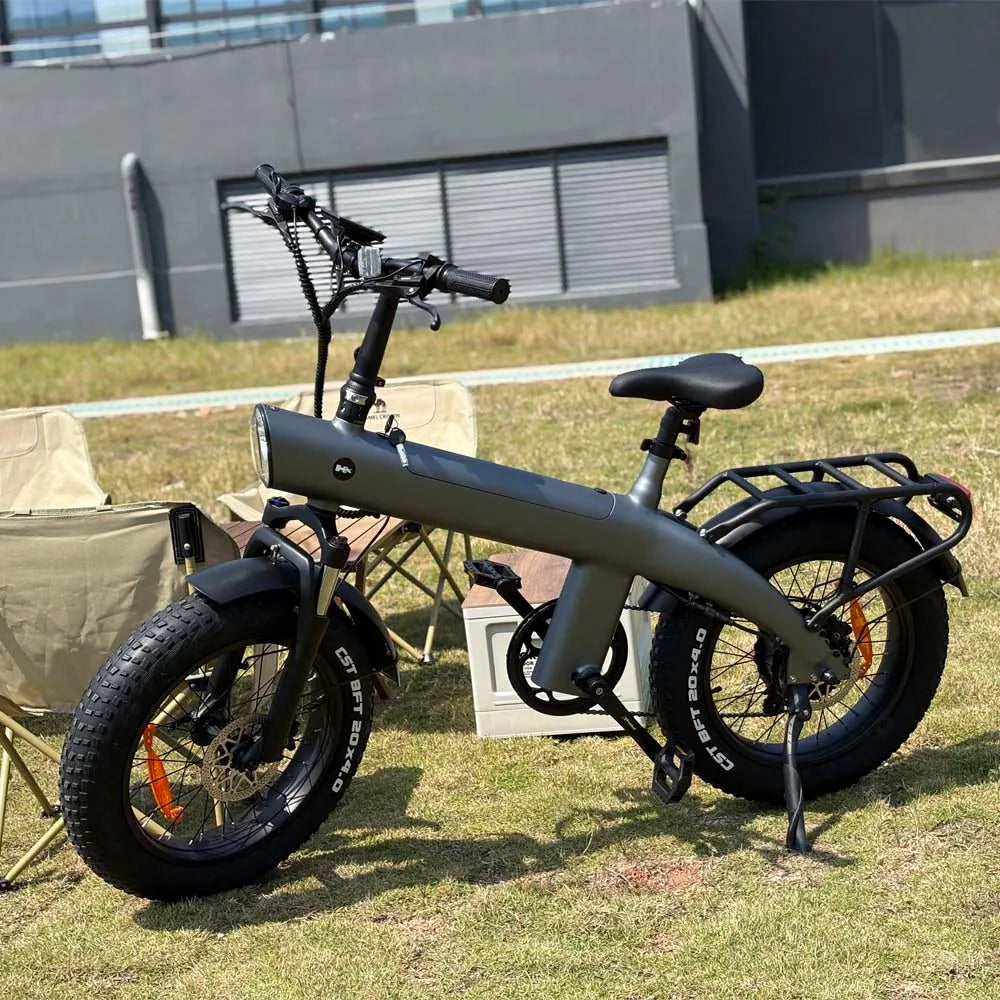HX Q20PRO Adult Electric Bicycle 48V 20A Removable Battery Ebike
