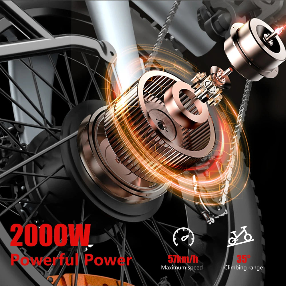 HX Q20PRO Adult Electric Bicycle 48V 20A Removable Battery Ebike
