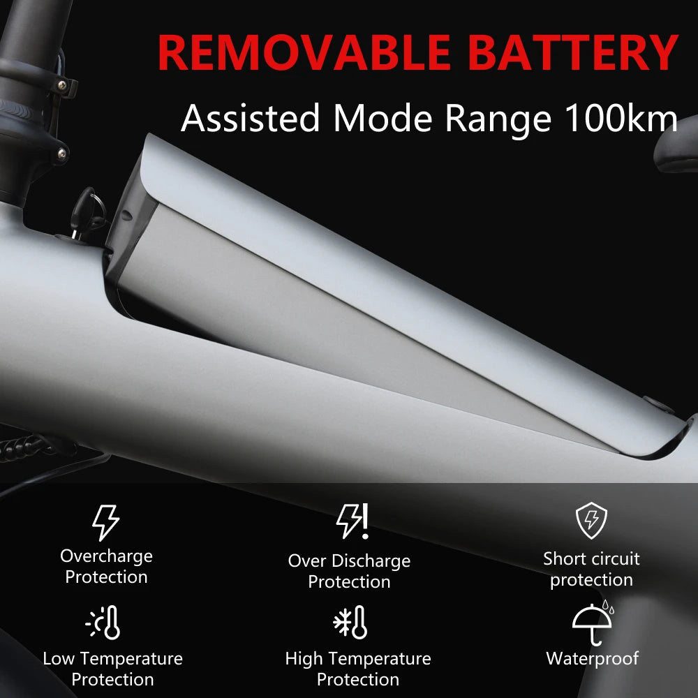 HX Q20PRO Adult Electric Bicycle 48V 20A Removable Battery Ebike