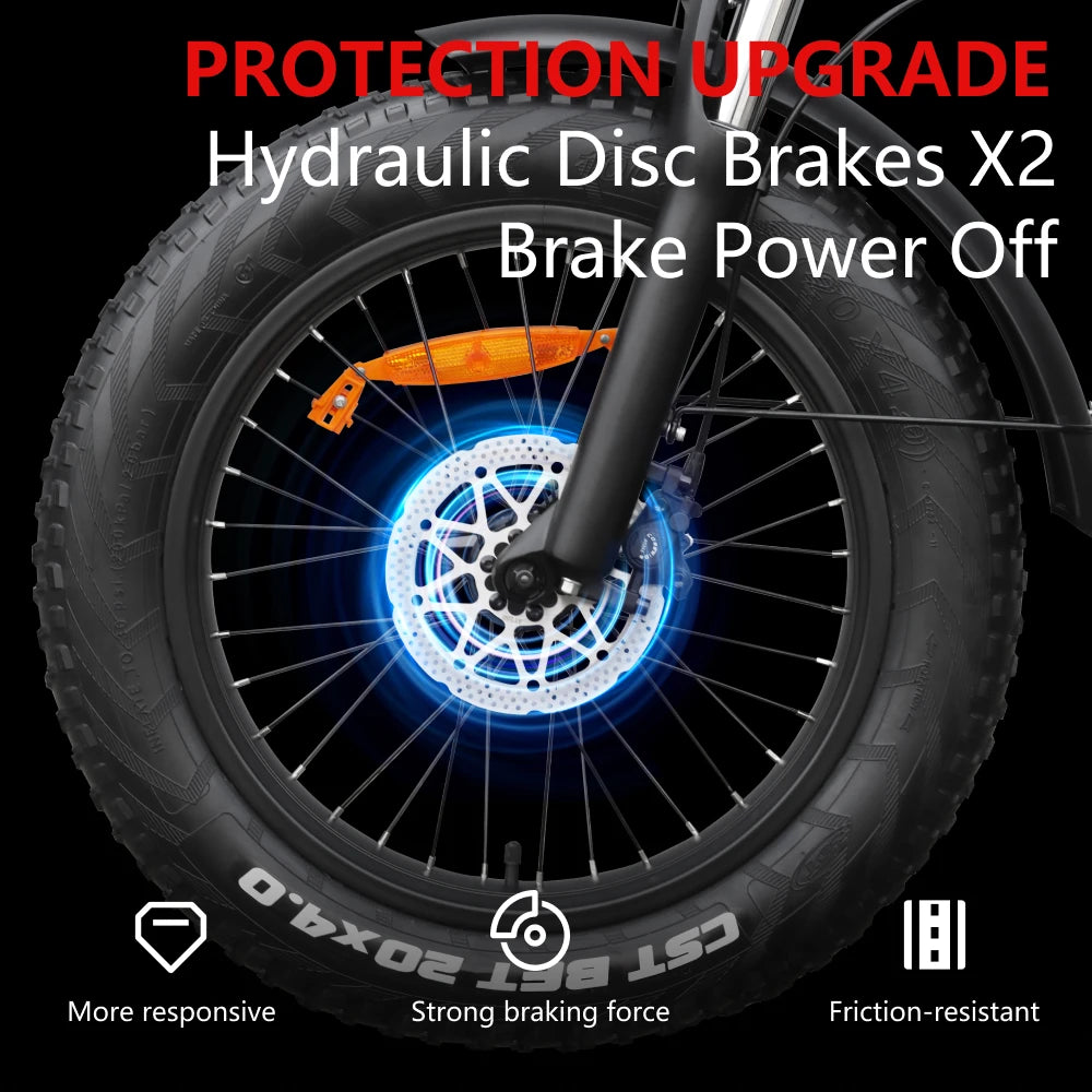 HX Q20PRO Adult Electric Bicycle 48V 20A Removable Battery Ebike