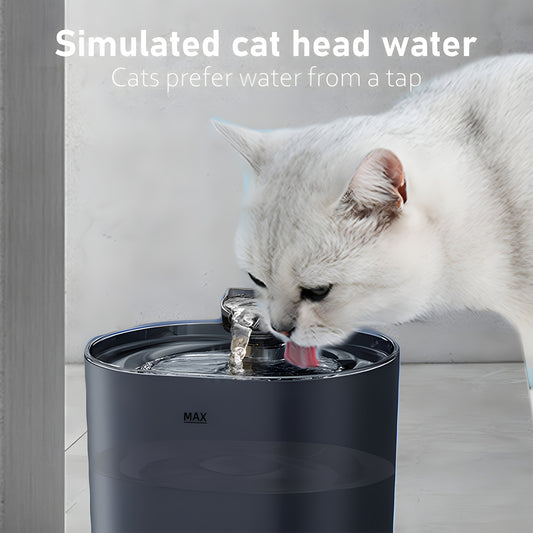 Automatic Pet Water Fountain Large 77.43 Oz Capacity Dispenser