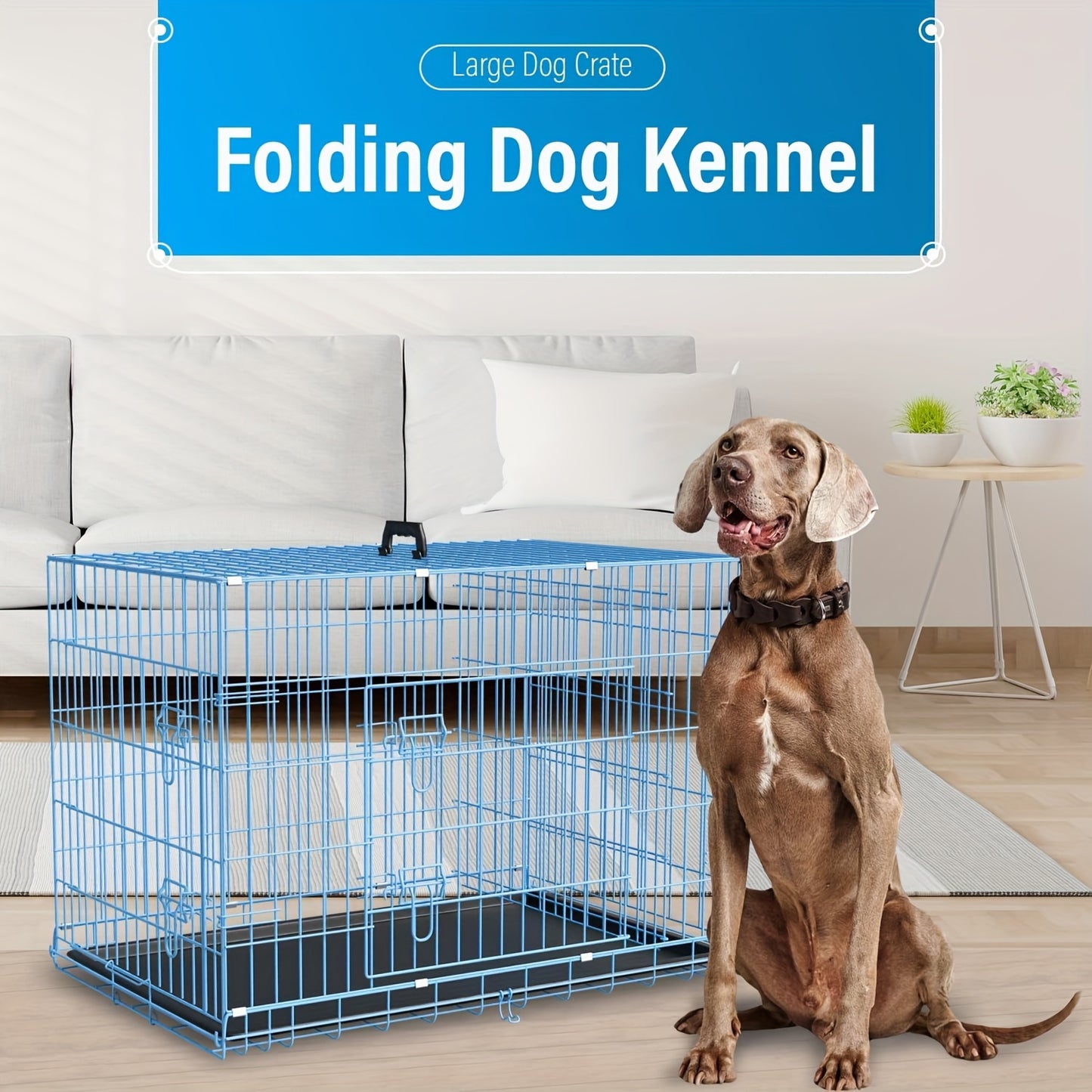 Double Door Metal Crate for Medium to Large Dogs