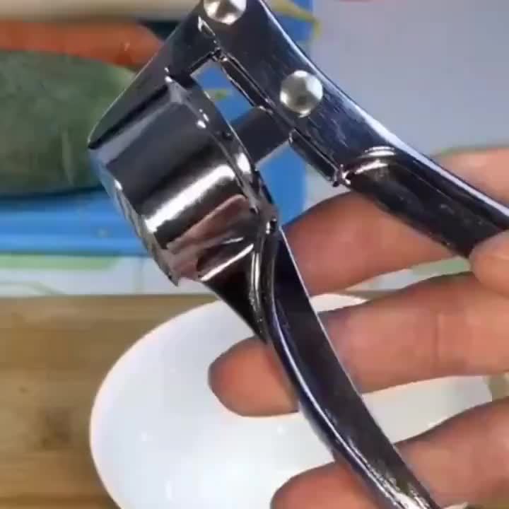 Stainless Steel Multi-functional Garlic Press and Grinder