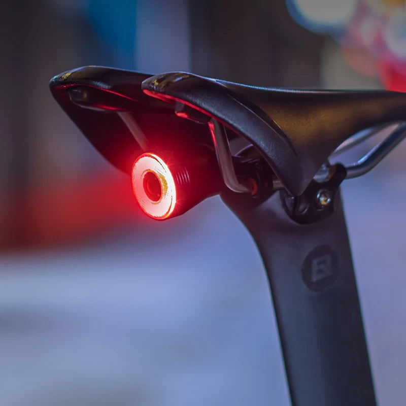 Bicycle Auto Brake Sensing Light Waterproof LED Charging Taillight Bike Rear Light Accessories